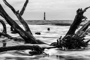 Driftwood with Morris Island (black & white)