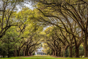 CharlesTowne Landing