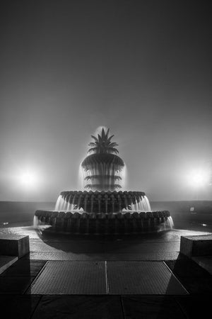 The Pineapple in B&W