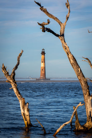 Morris Island Through Branches