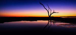 Gradient Driftwood