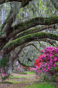 The Archways