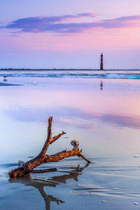 Cotton Candy Driftwood