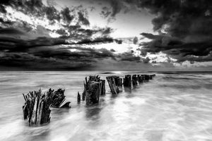 Folly Beach Pilings B&W