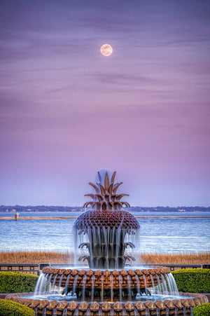 The Pineapple Moon