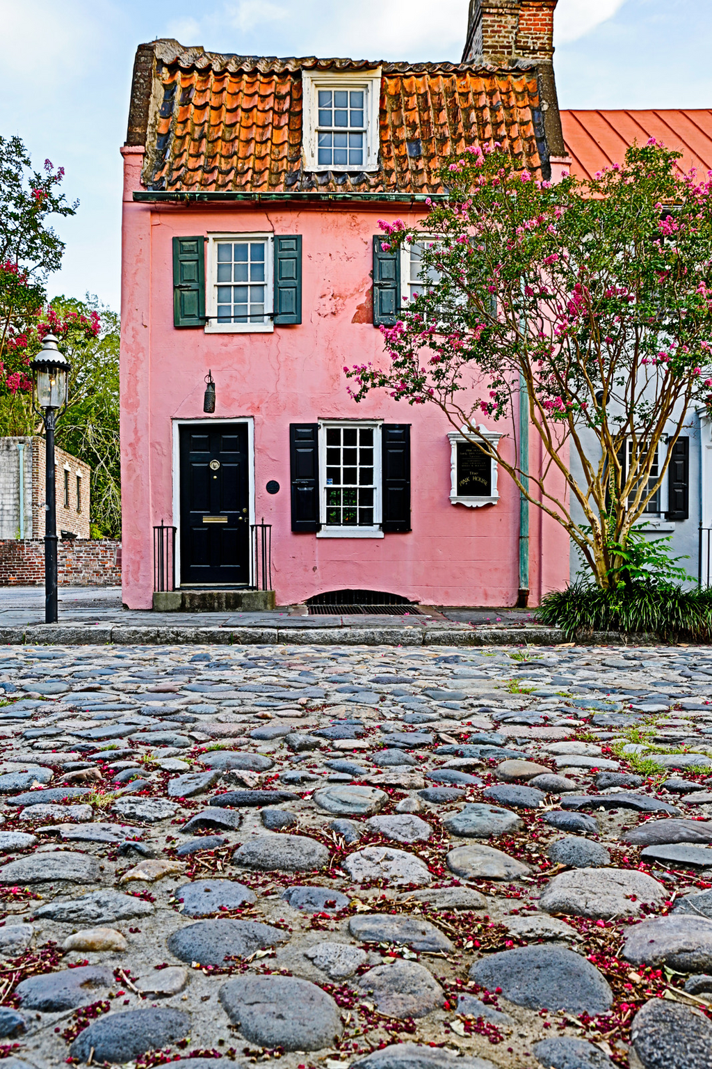 Pink House