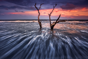 Rushing Driftwood