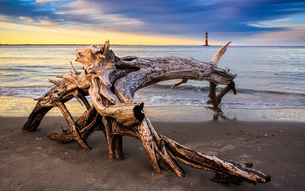 Yellow Driftwood