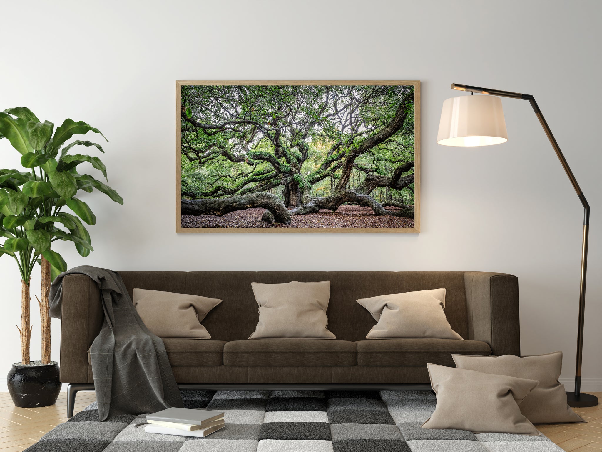 Angel Oak Tree